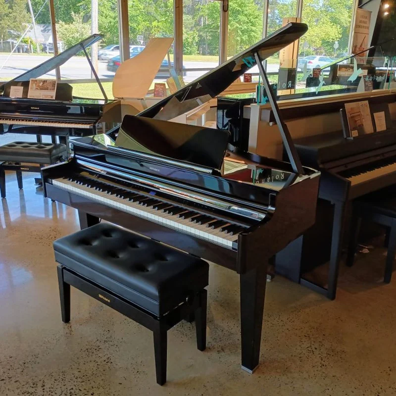 ROLAND GP-6 PE (Used)