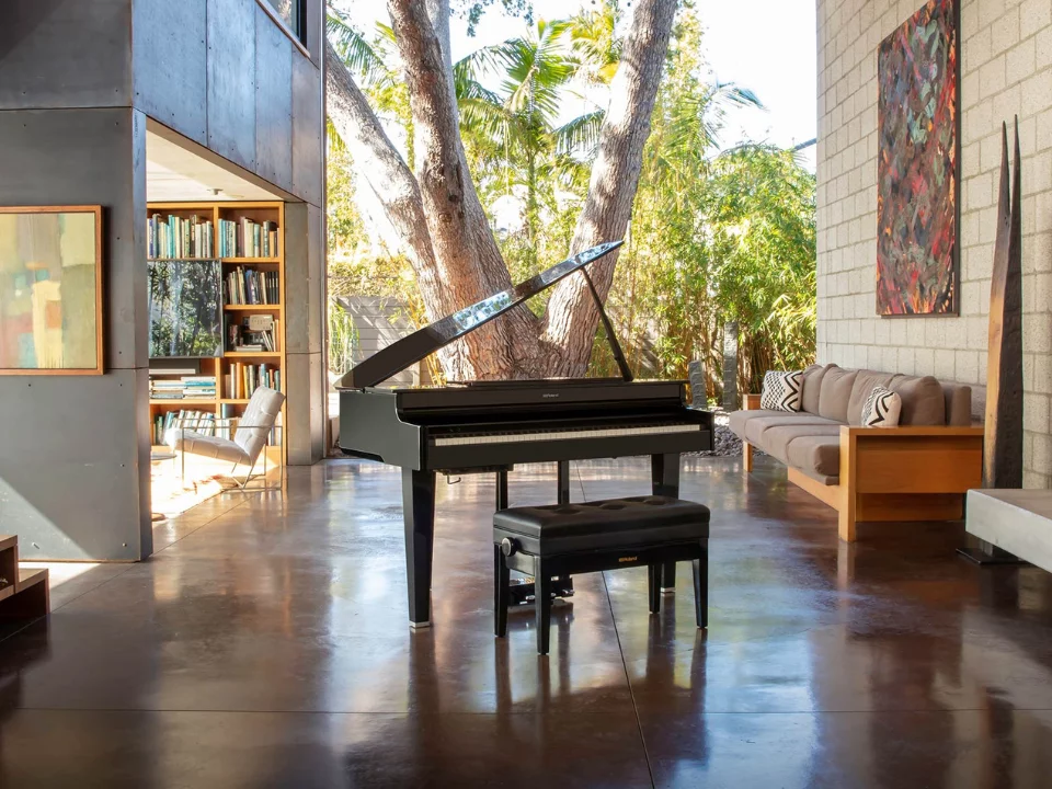 ROLAND GP-6 PE (Used)