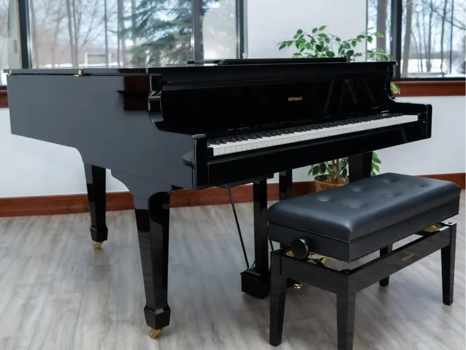 Roland GP-609 PE (USED)