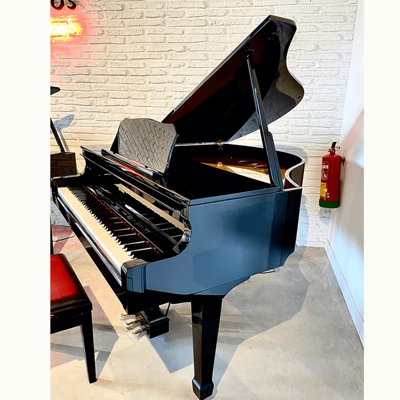 Roland GP-609 PW (USED)