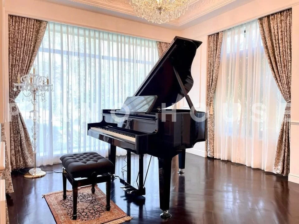 ROLAND GP-9 PE (USED)