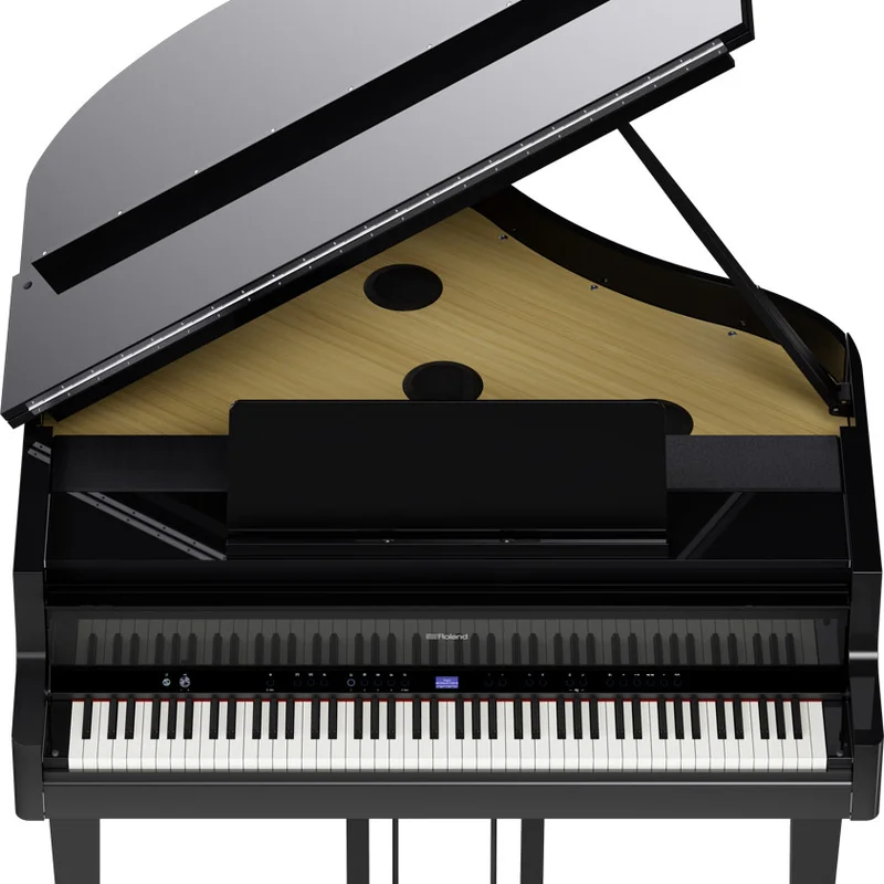 ROLAND GP-9 PE (USED)