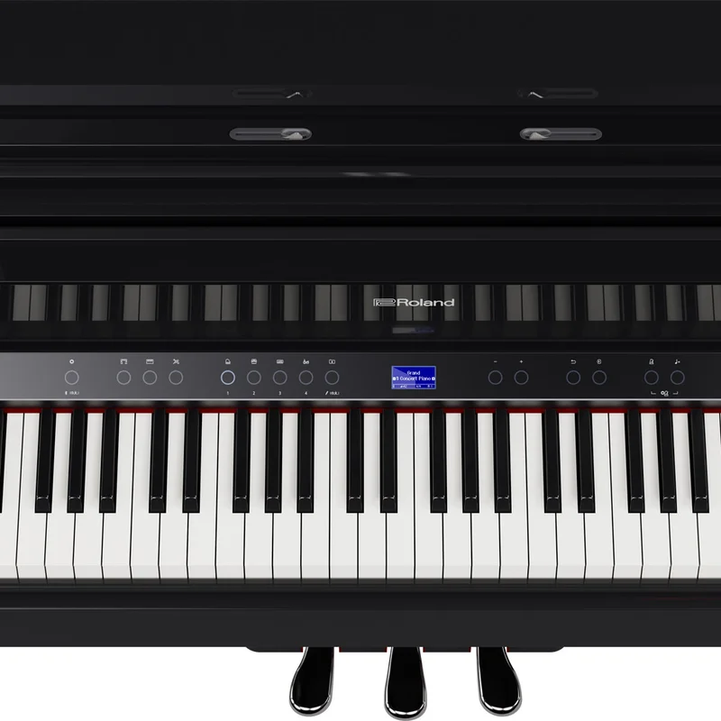 ROLAND GP-9 PE (USED)