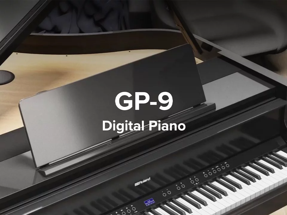 ROLAND GP-9 PE (USED)