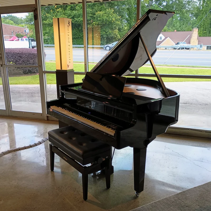 ROLAND GP-9 PE (USED)