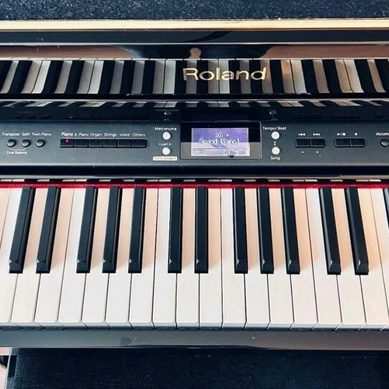 ROLAND HP-207