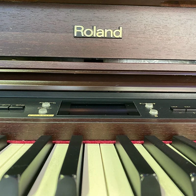 ROLAND HP-207