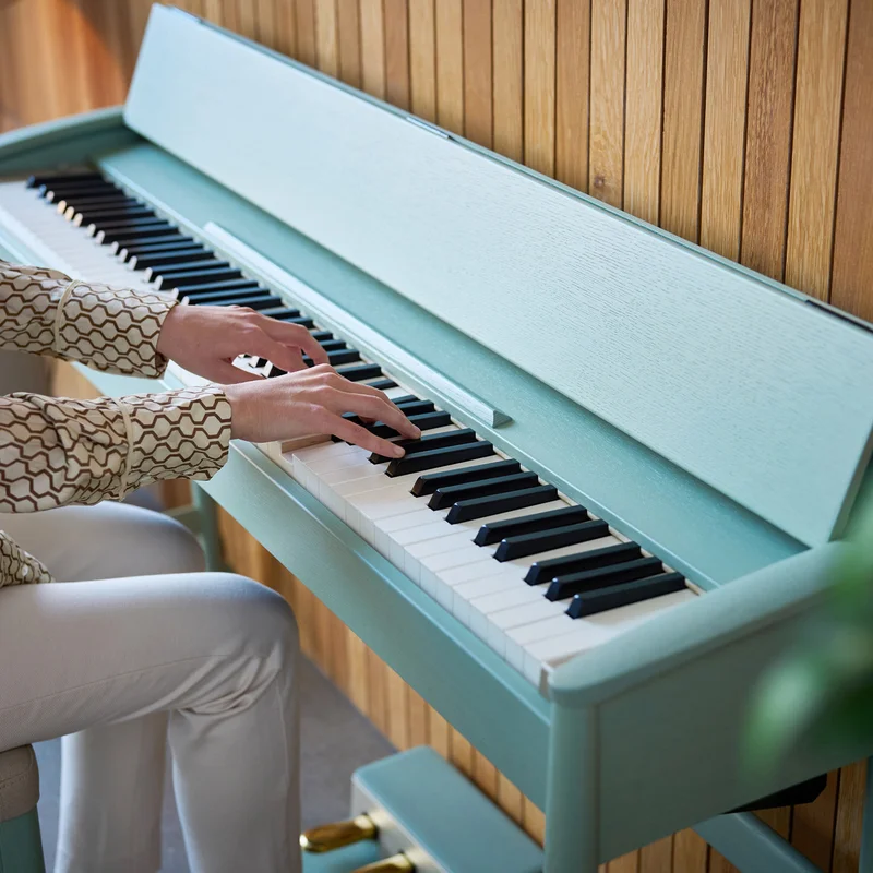 ROLAND Kiyola KF-20 KG