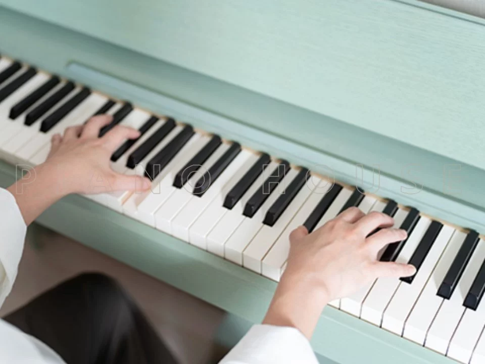 ROLAND Kiyola KF-20 KG