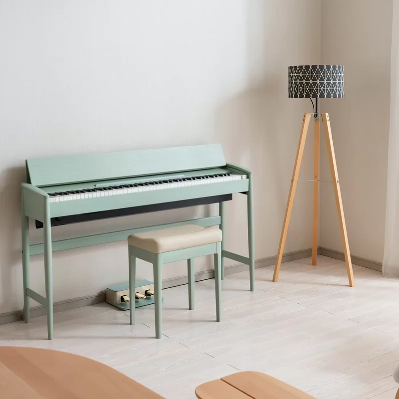 ROLAND Kiyola KF-20 KG