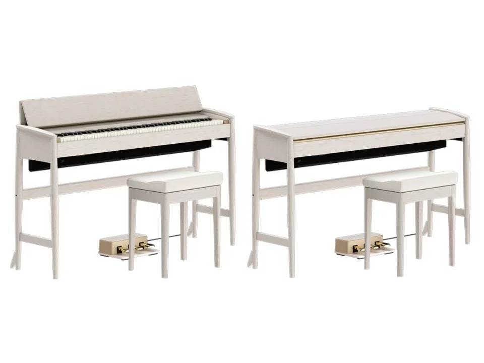 ROLAND Kiyola KF-20 KS