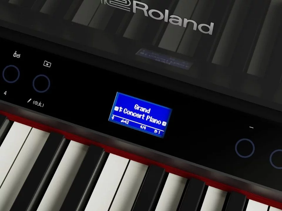 ROLAND LX-9 PE