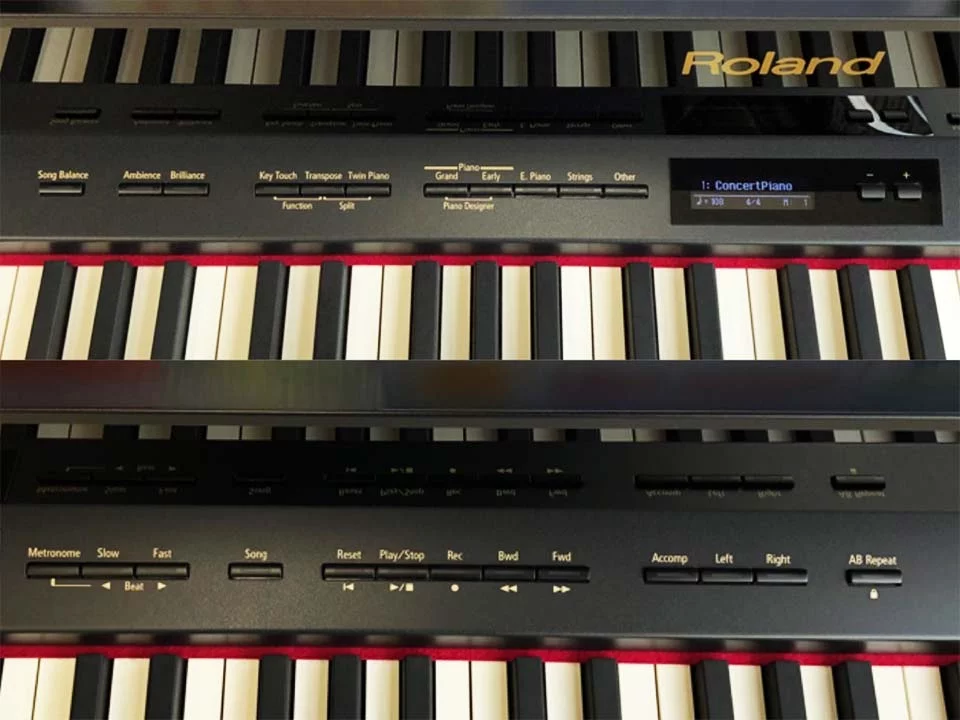 ROLAND LX-15 PE