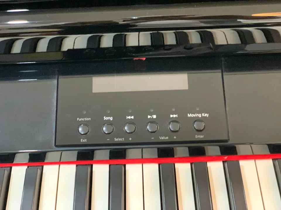 ROLAND RG-7F PE