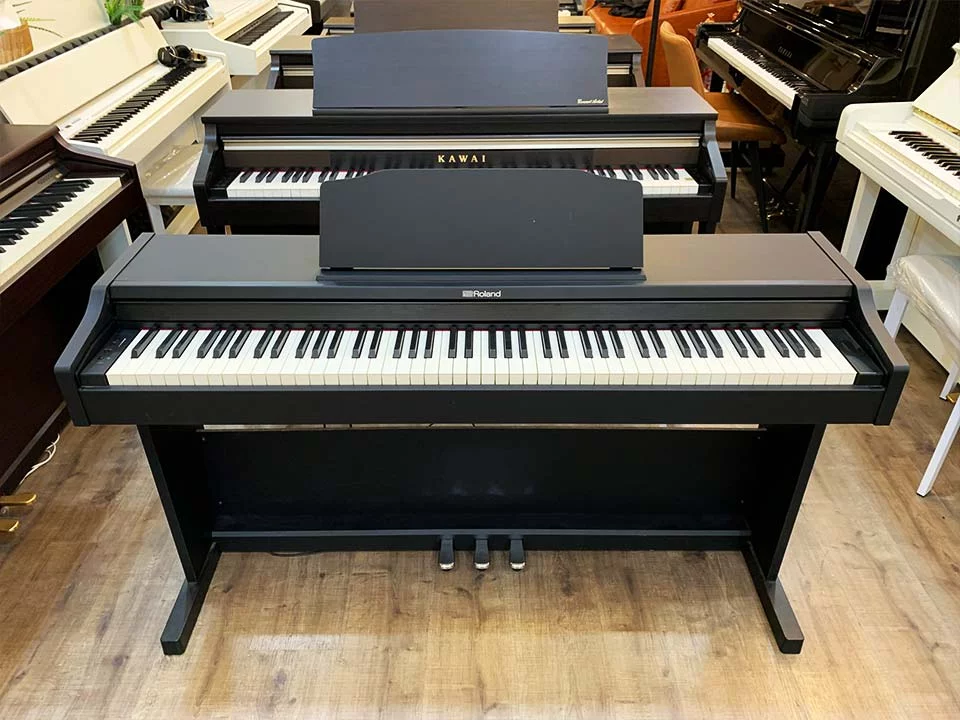 ROLAND RP-102 (Used)