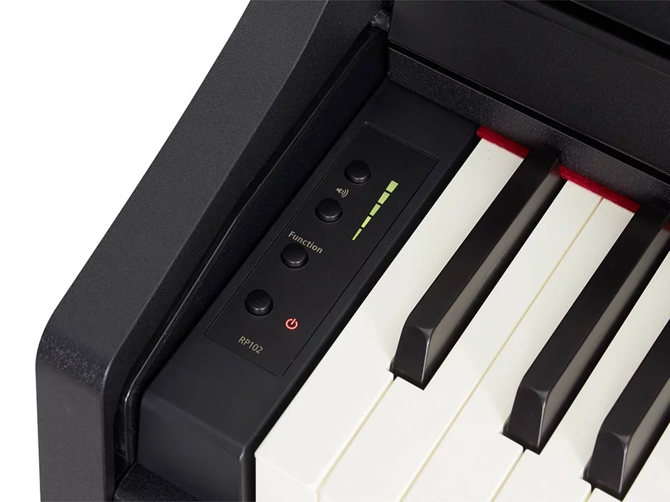 ROLAND RP-102 (Used)