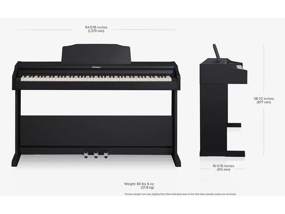 ROLAND RP-102 (Used)