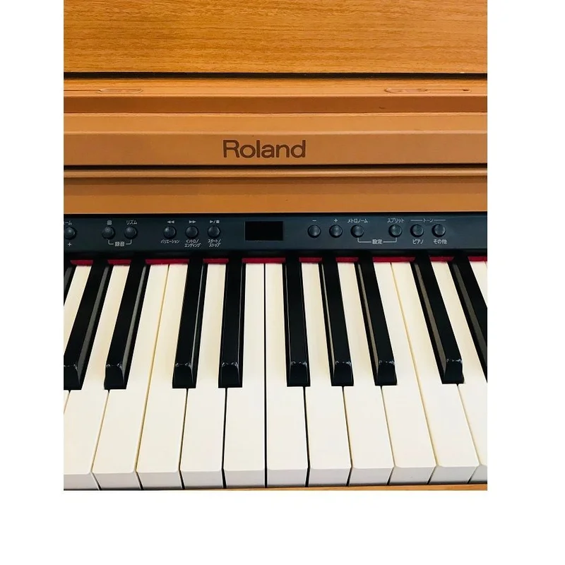ROLAND RP-401 LW