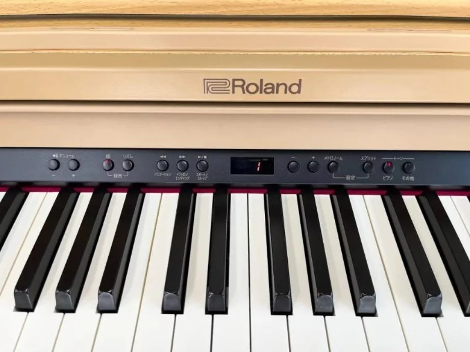 ROLAND RP-501R NBS