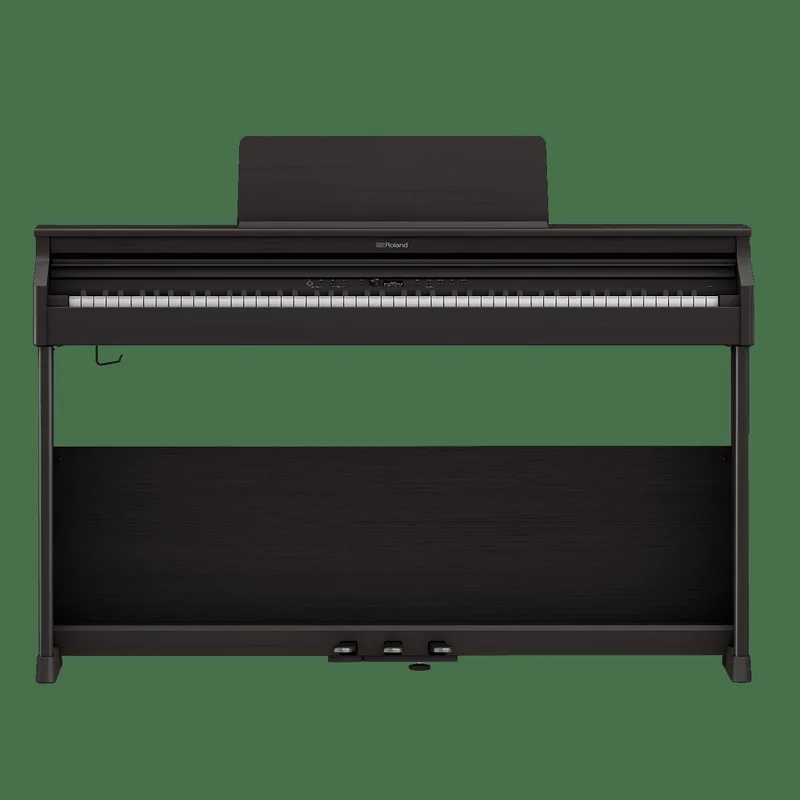 ROLAND RP-701 DR (Used)