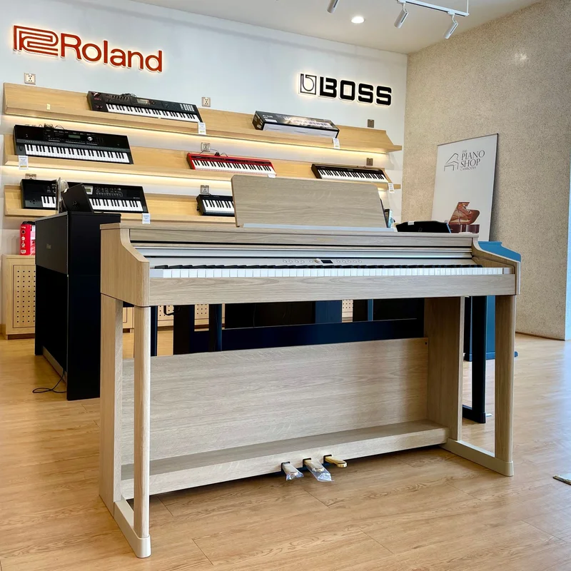 ROLAND RP-701 DR (Used)