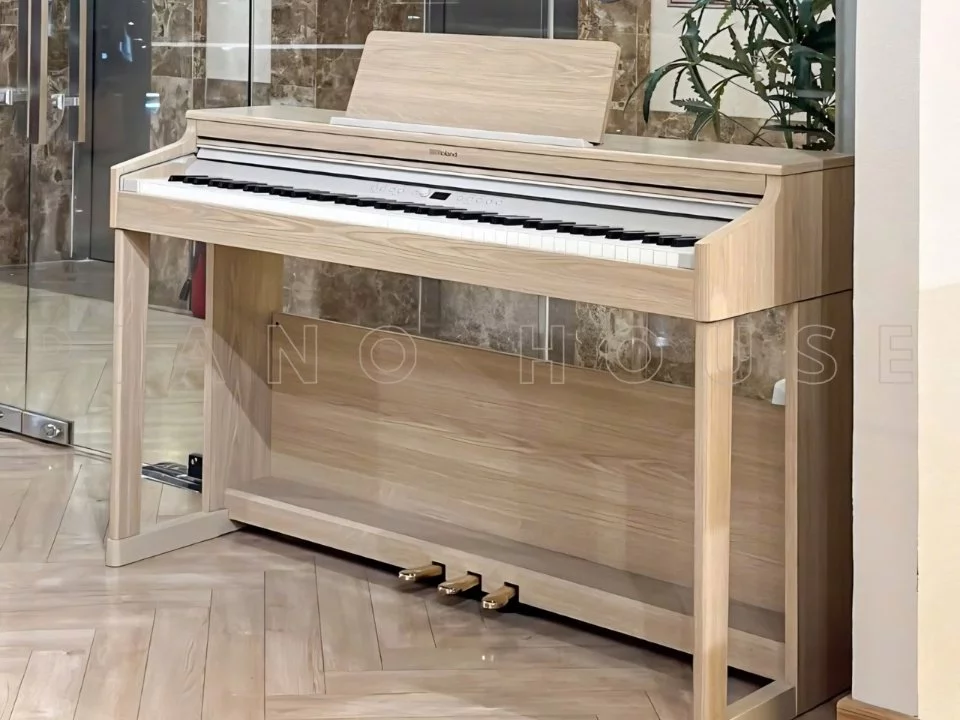 ROLAND RP-701 LO (USED)