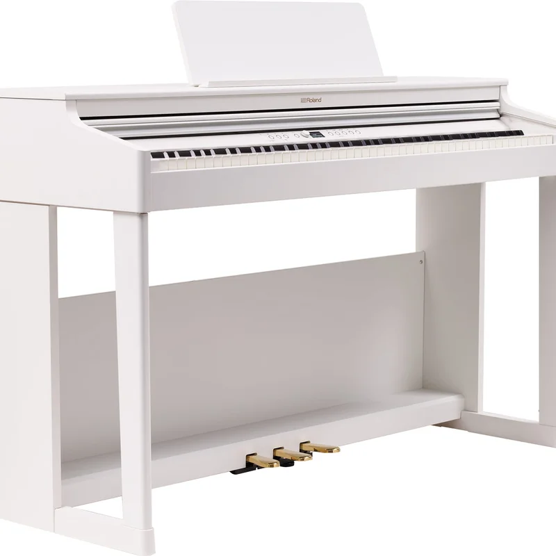 ROLAND RP-701 LO (USED)