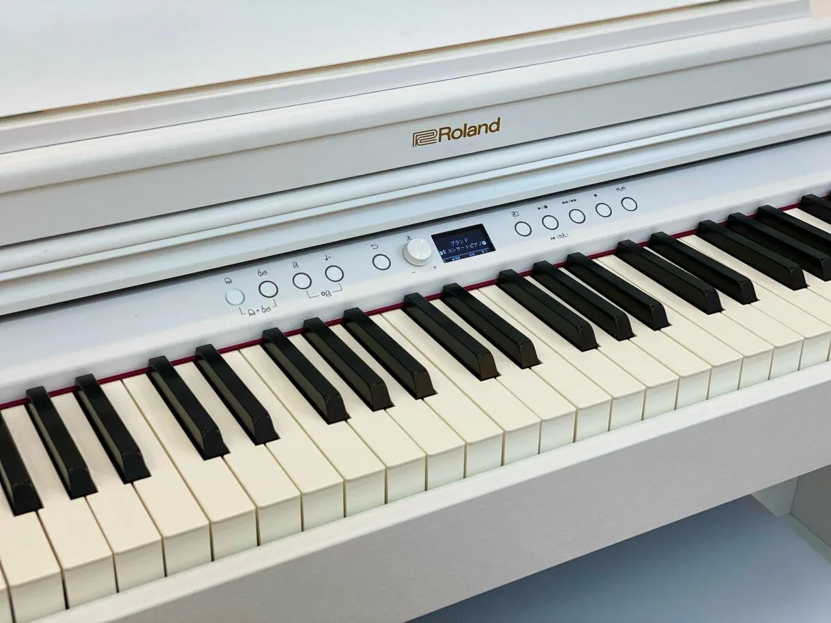 ROLAND RP-701 WH (Used)