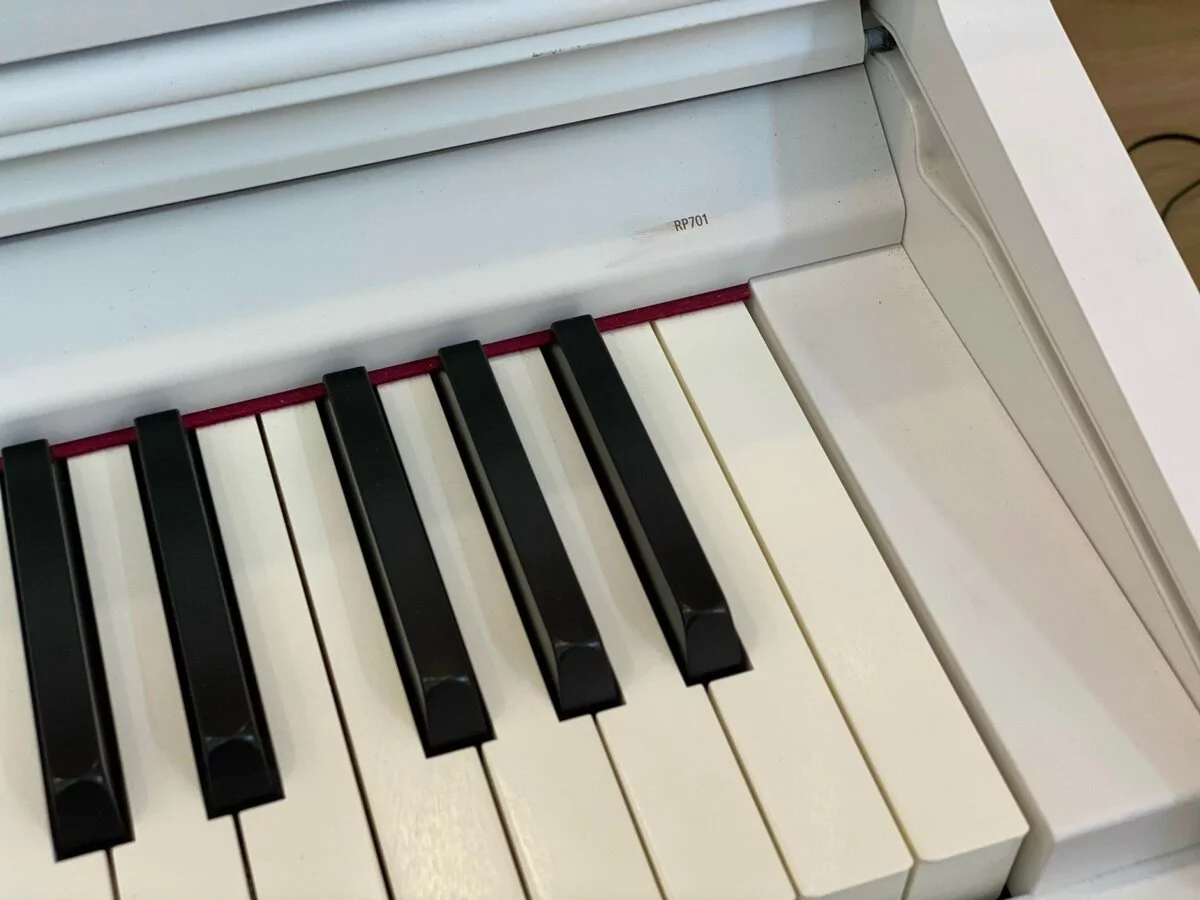 ROLAND RP-701 WH (Used)