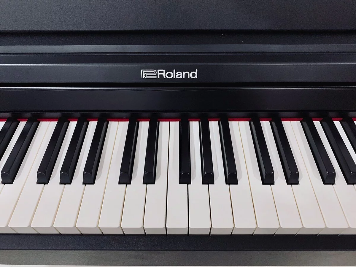 ROLAND RP-102