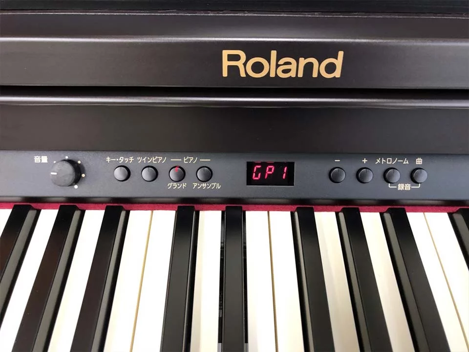 ROLAND RP-301 RW