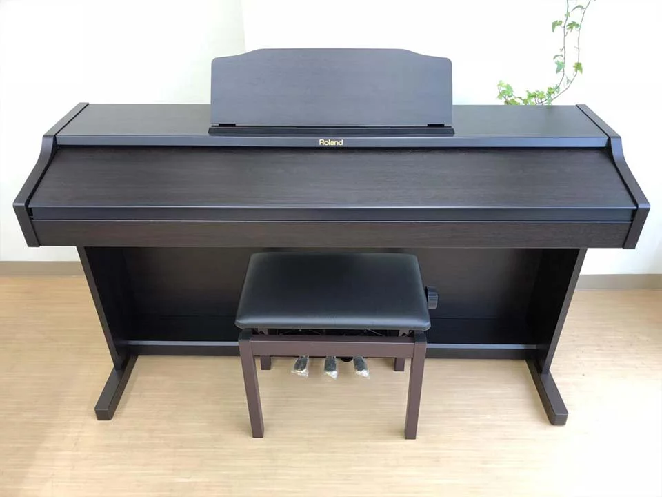 ROLAND RP-401 RW
