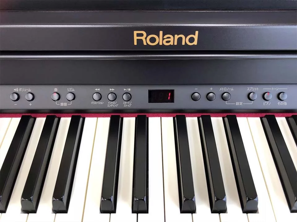ROLAND RP-401 RW