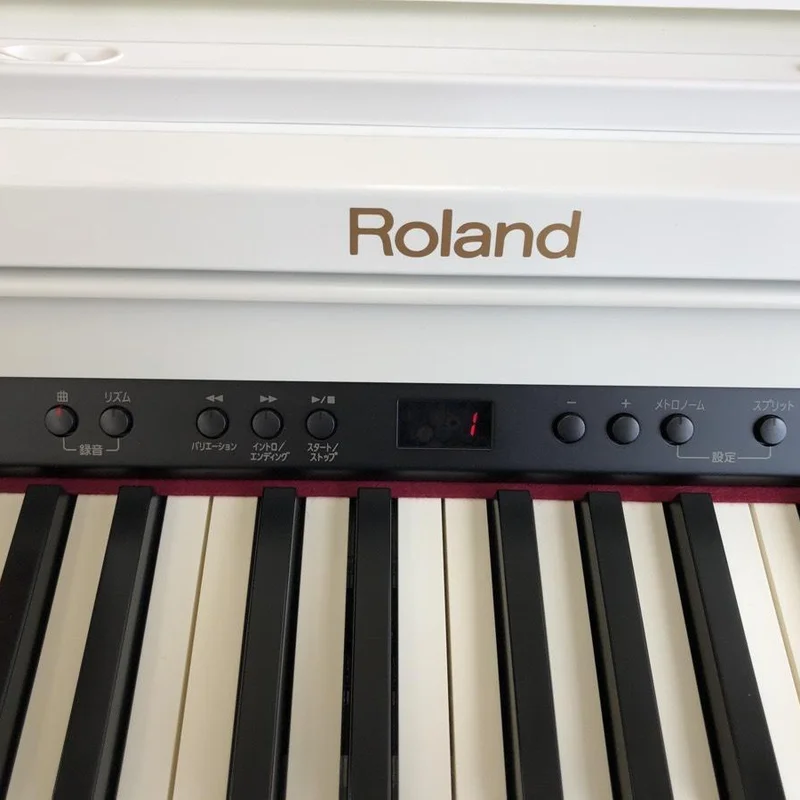 ROLAND RP-401 RW