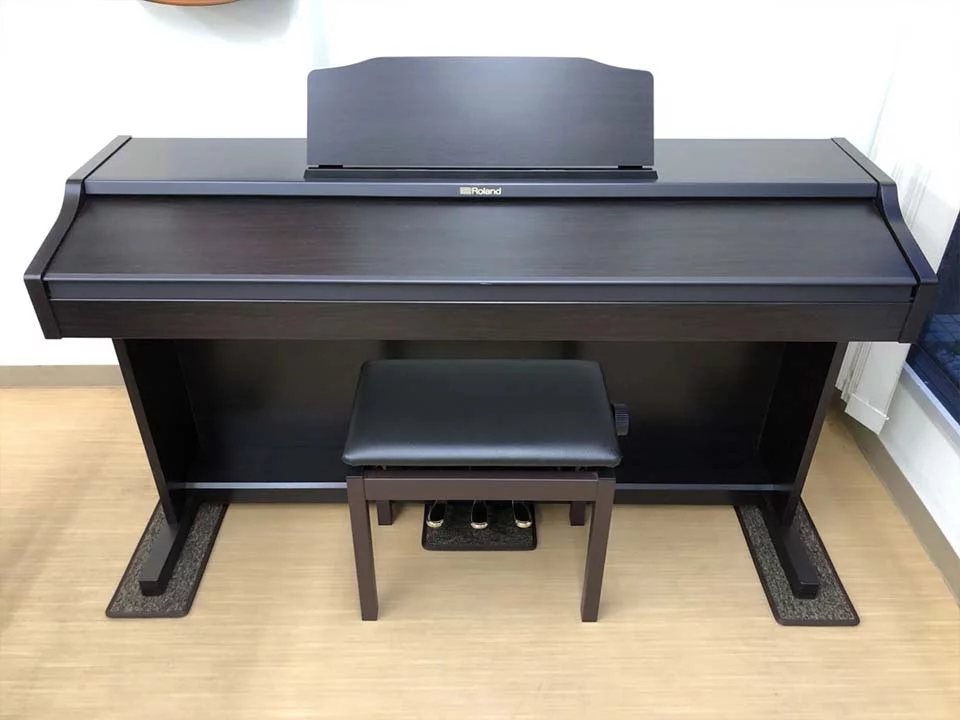 ROLAND RP-501R