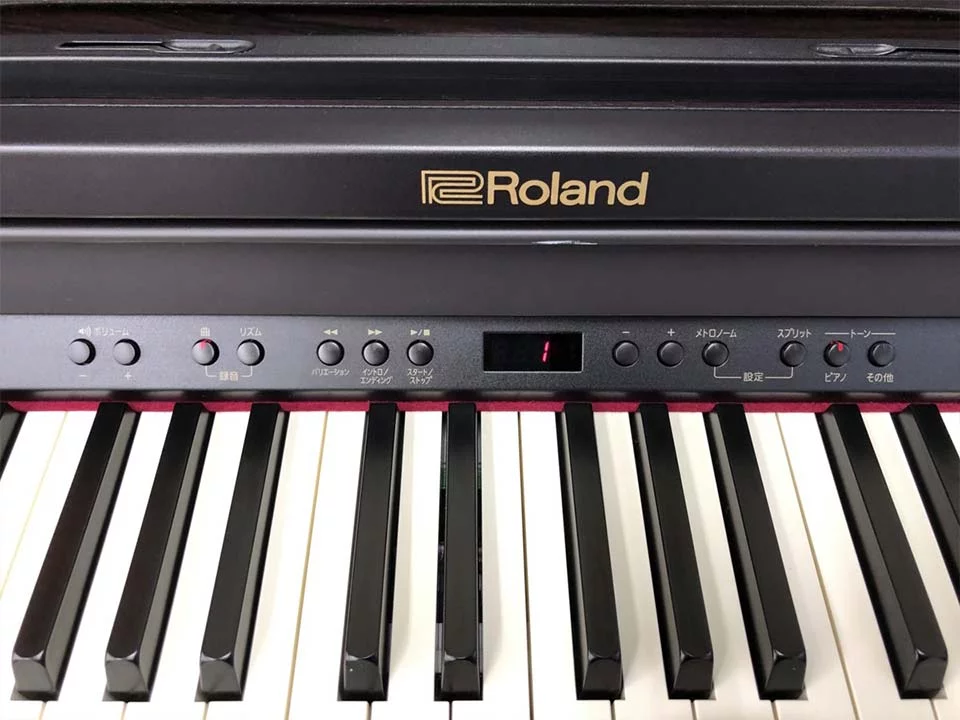 ROLAND RP-501R
