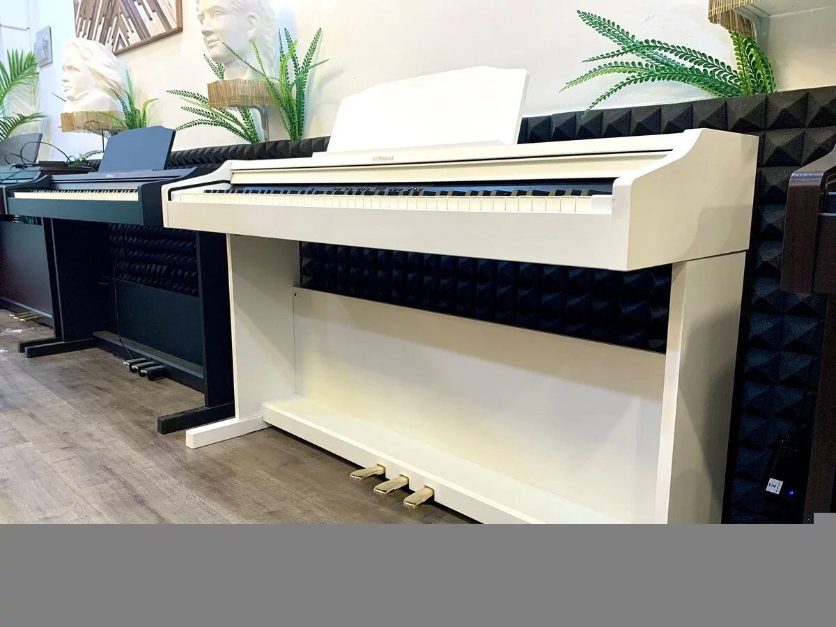 ROLAND RP-501R WH