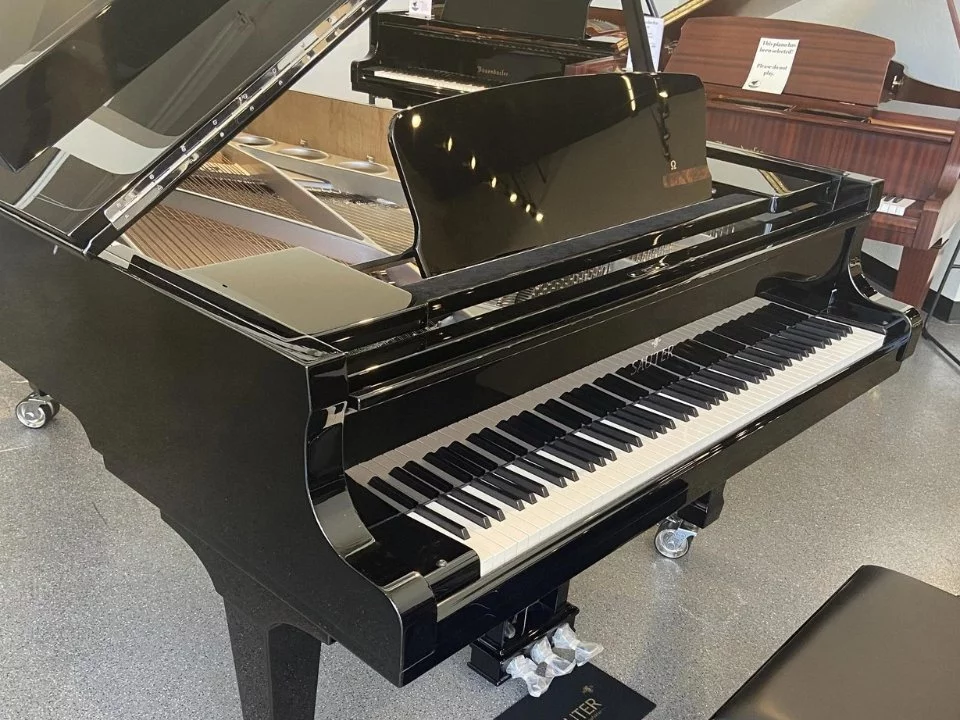 Sauter 220 Omega (USED)