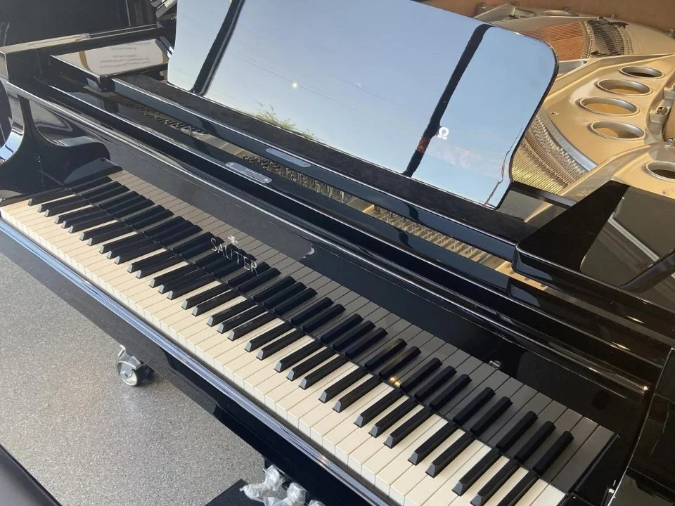 Sauter 220 Omega (USED)