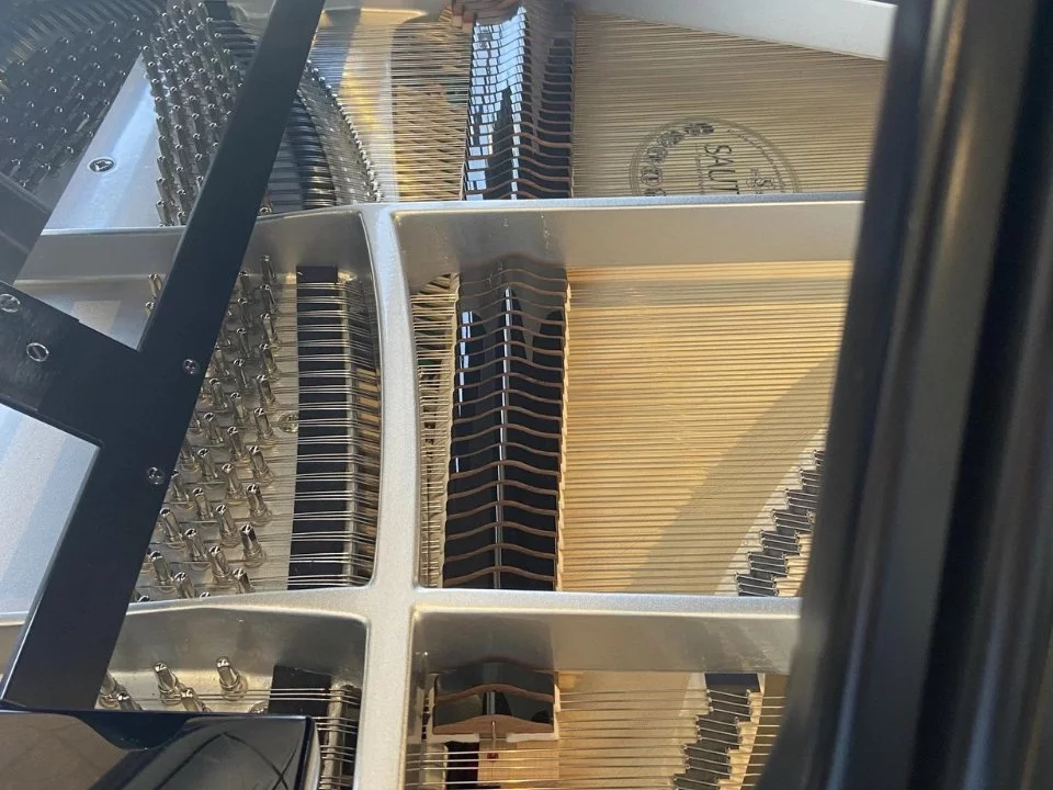 Sauter 220 Omega (USED)