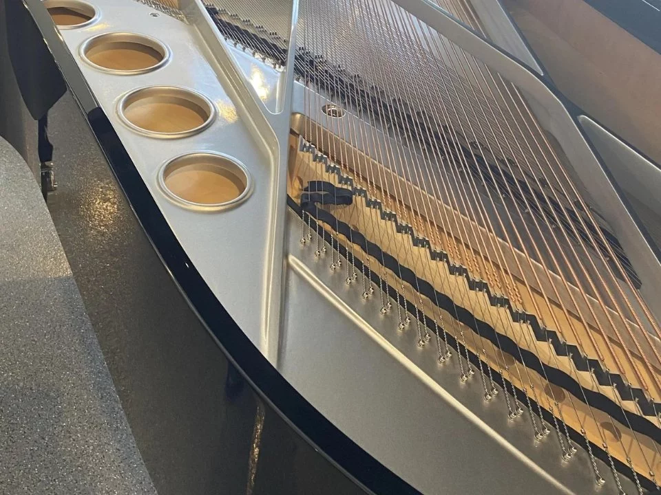 Sauter 220 Omega (USED)