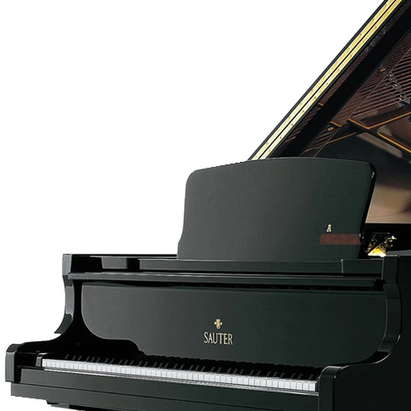 Sauter Alpha 160 Mahogany