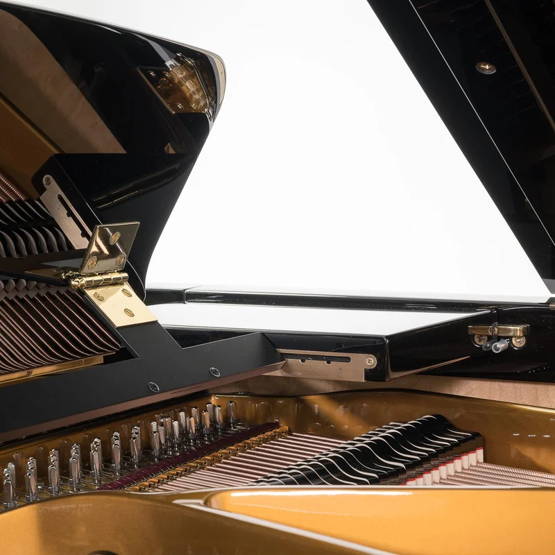 Sauter Alpha 160 - Polished Black