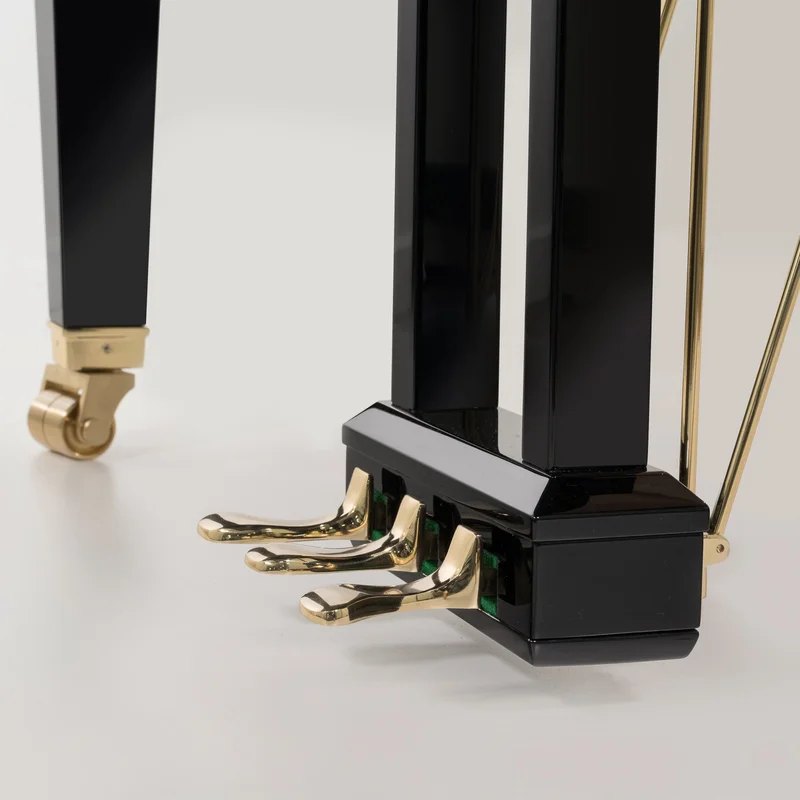 Sauter Alpha 160 - Polished Black