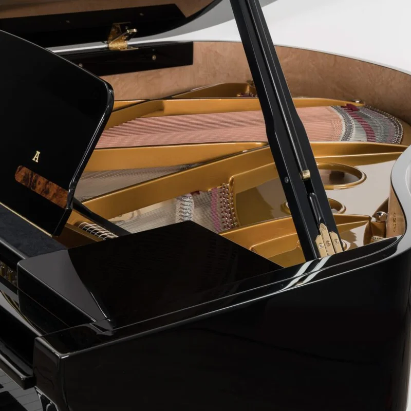 Sauter Alpha 160 - Polished Black