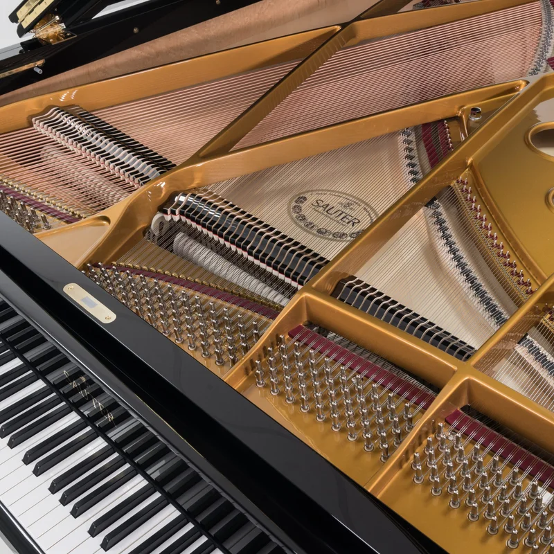 Sauter Delta 185 | Salon Grand Piano (Satin Mahogany)