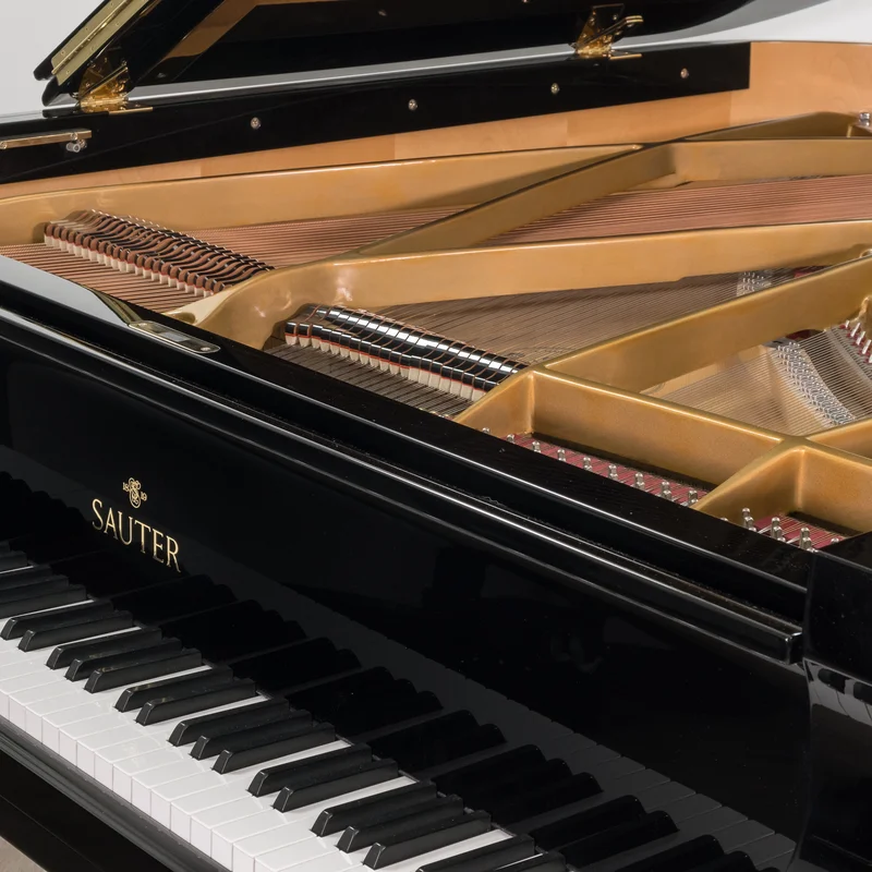 Sauter Delta 185 | Salon Grand Piano