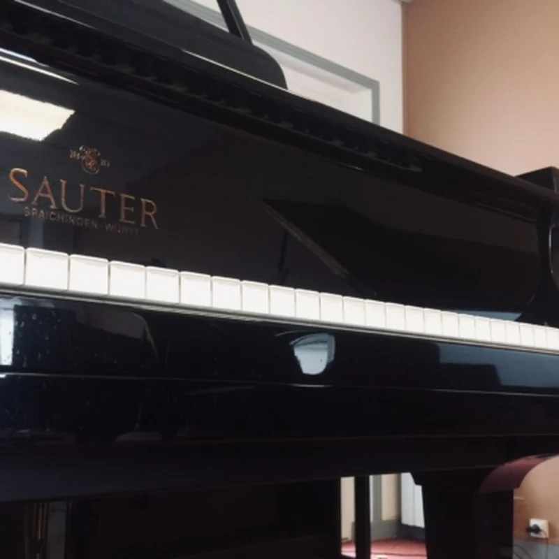 Sauter Delta 185 | Salon Grand Piano