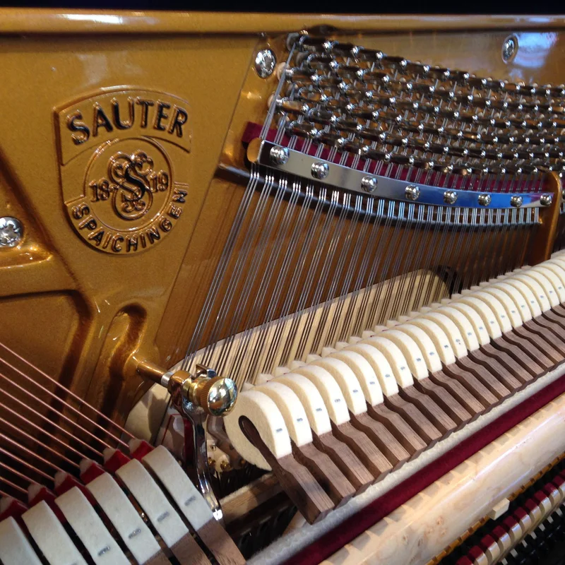 Sauter Masterclass 122