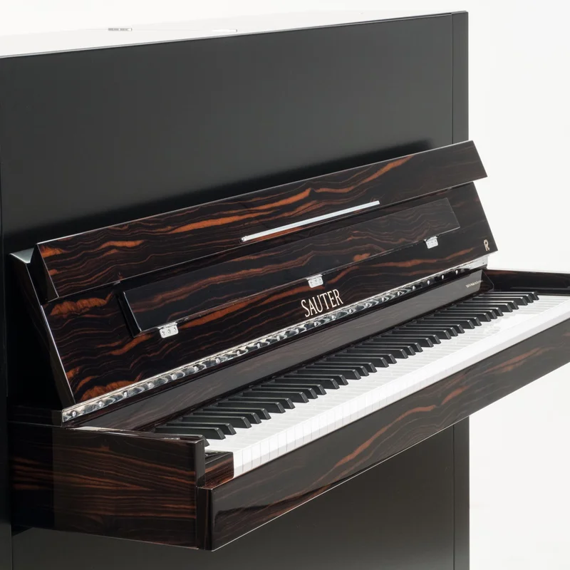 Sauter Pure Basic (Black Matte & Walnut)